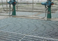 Bükülmüş Bar Paslanmaz Çelik Zemin Izgarası, ISO9001 Endüstriyel Zemin Izgarası Tedarikçi
